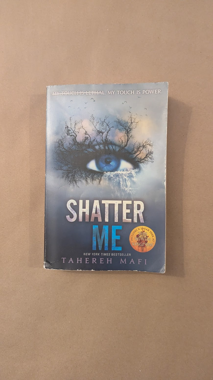 Shatter Me